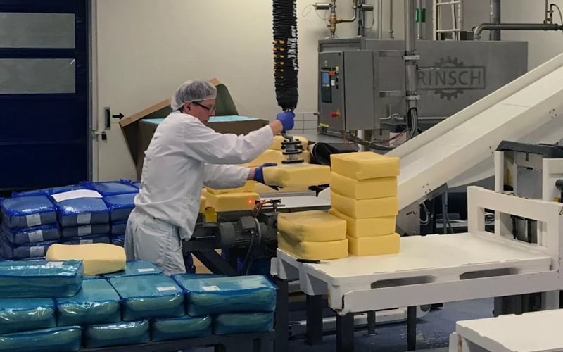 TAWI Food and Beverage Handling, Vacuum lifter handling raw block of cheese