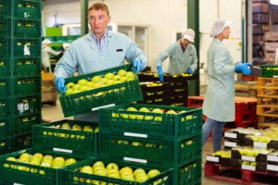 Man lifting a green crate with apples in a food storage facility